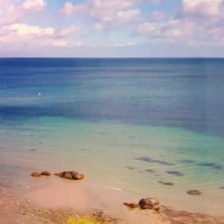 Saltwater הוווכט